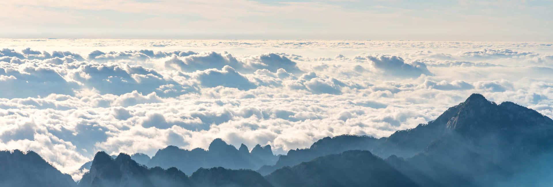 AK（中国）简介